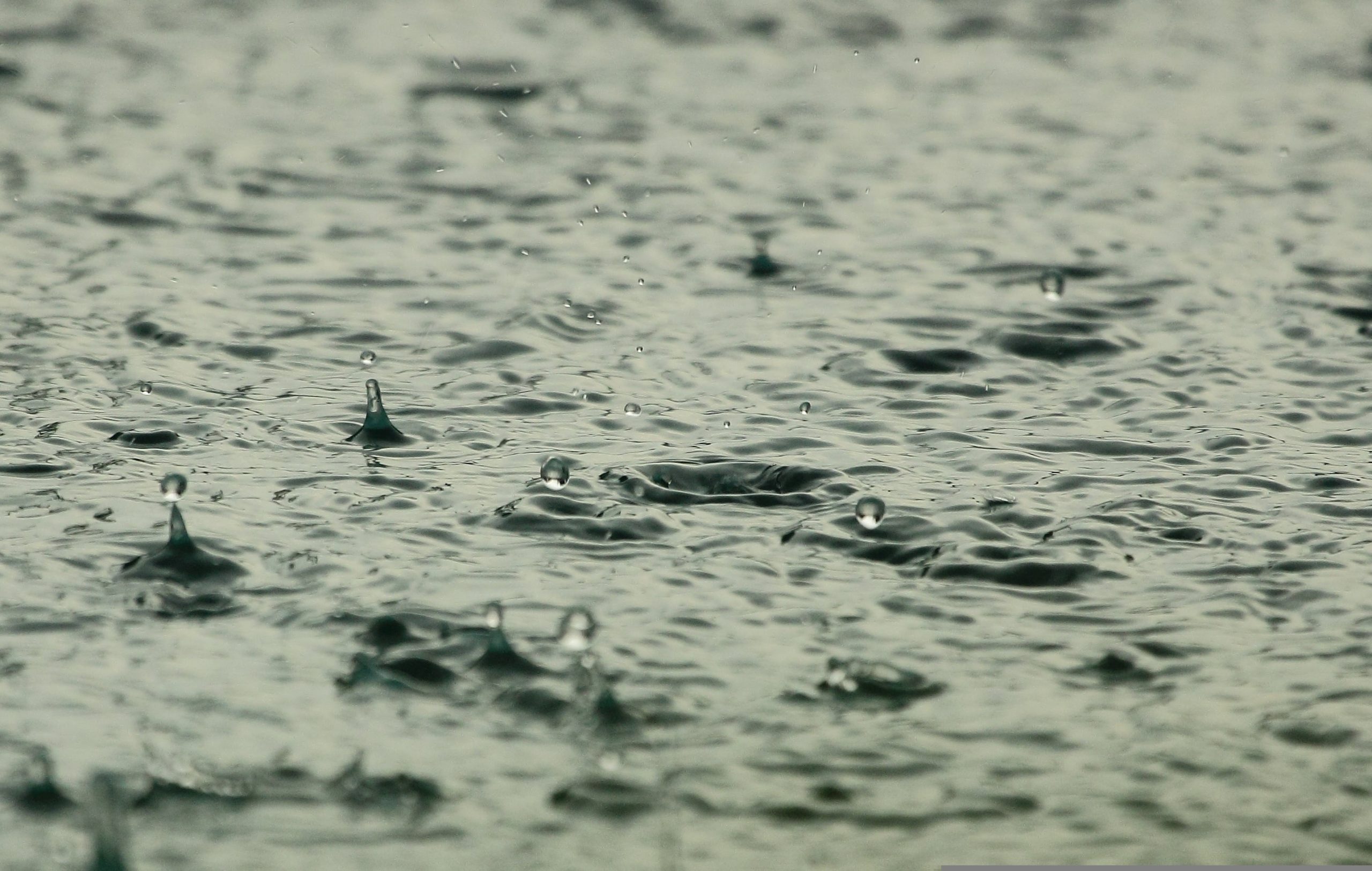 Evacúan sector de Liquiñe por desborde de río en Panguipulli