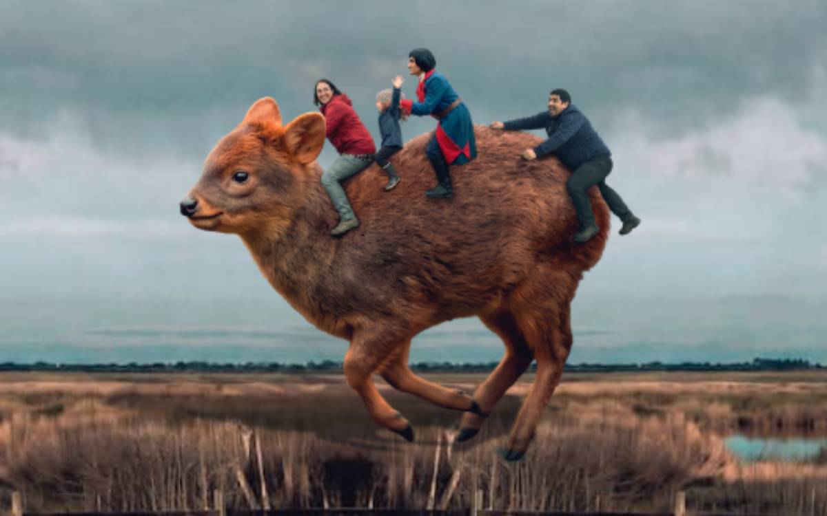 FICValdivia ofrecerá 125 funciones y actividades gratuitas: Revisa las películas y horarios