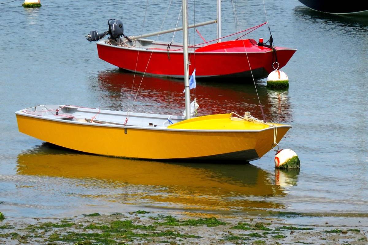 Reforzarán vigilancia de toxinas marinas y fiscalizaciones para prevenir riesgos por marea roja en Los Ríos