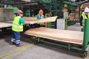Impulsan incentivos a la contratación para fortalecer el empleo formal en Los Ríos