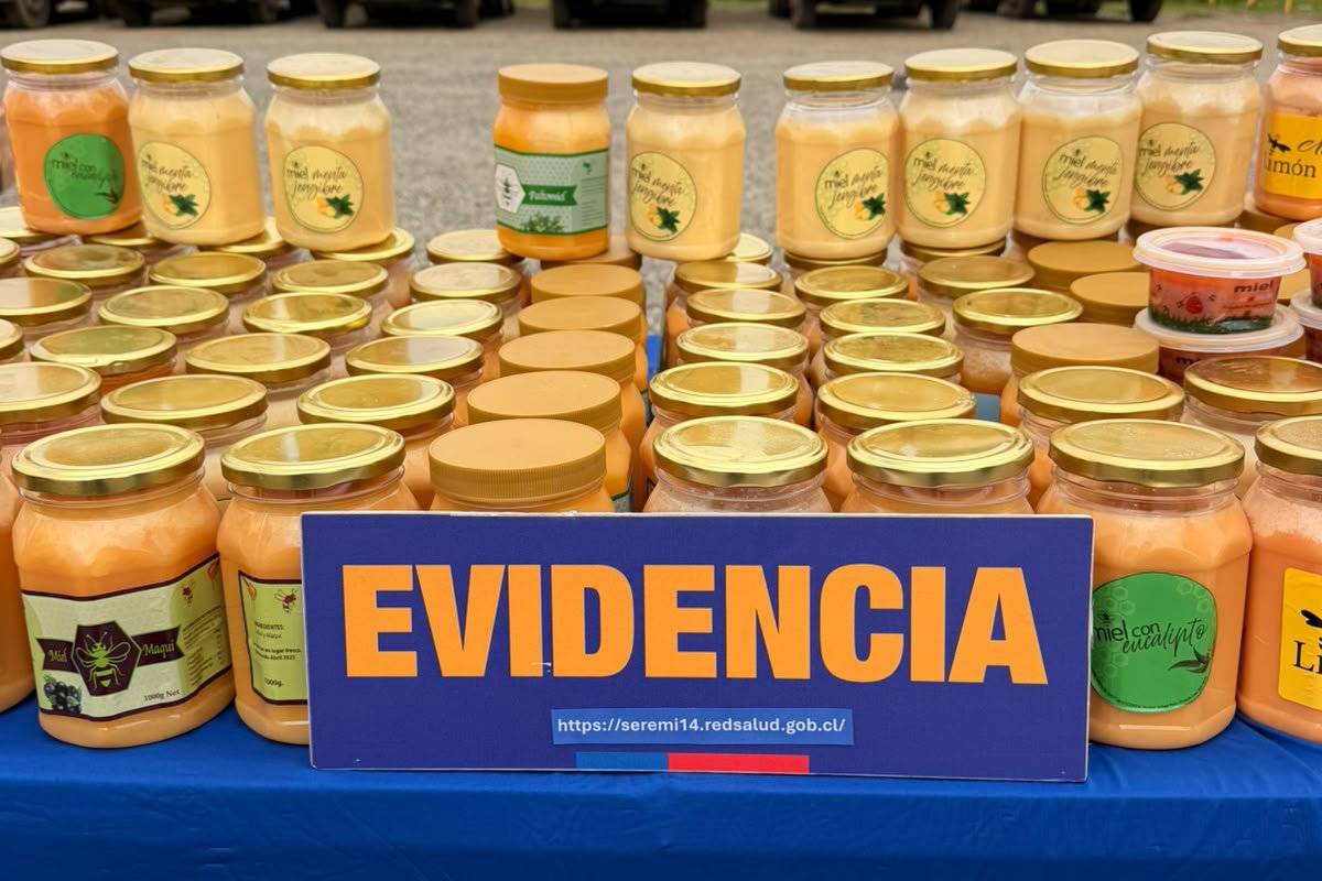 Decomisan y eliminan más de 200 kilos de producto vendido como miel en Valdivia