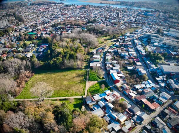 Valdivia: Eco Parque Deportivo Bertolotto busca integrar deporte, áreas verdes y protección del humedal