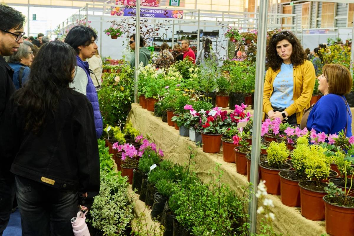 Expo Primavera Valdivia reunirá a más de 60 expositores este fin de semana en el Parque Saval 